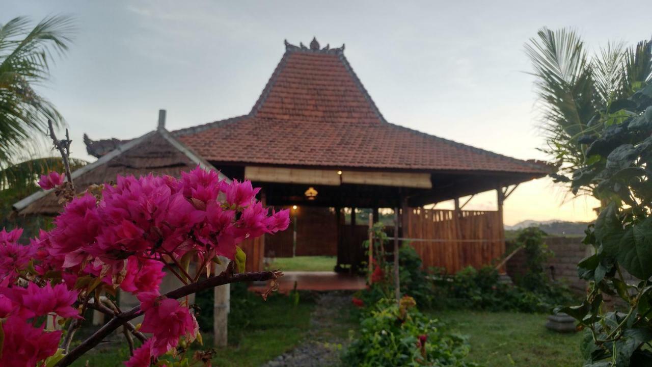 普卢坎 Bali Tiger Hideaway酒店 外观 照片