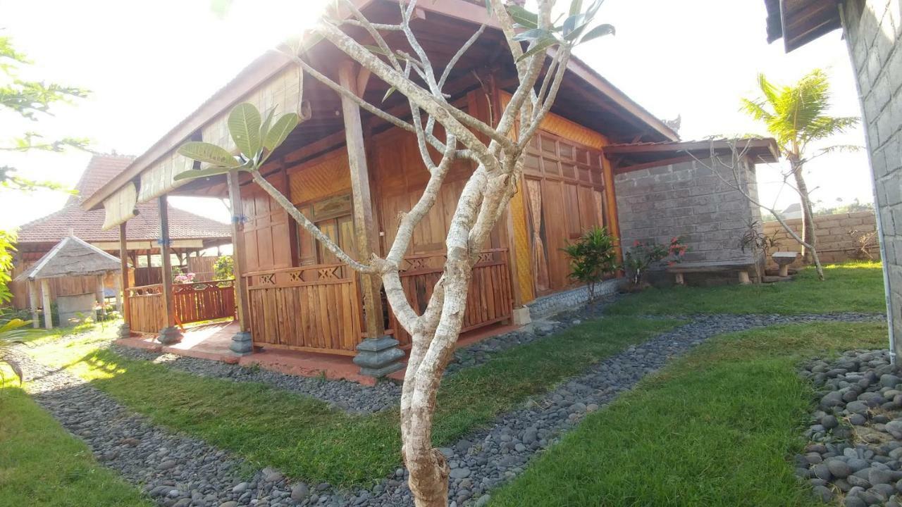 普卢坎 Bali Tiger Hideaway酒店 外观 照片