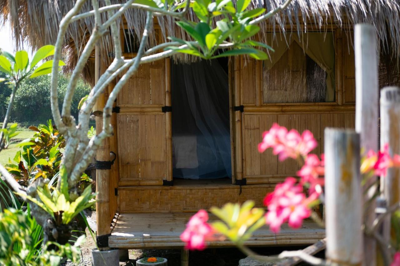 普卢坎 Bali Tiger Hideaway酒店 外观 照片